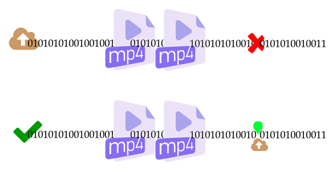 NLC电子(中国)集团