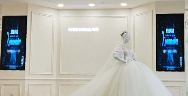 NLC电子(中国)集团