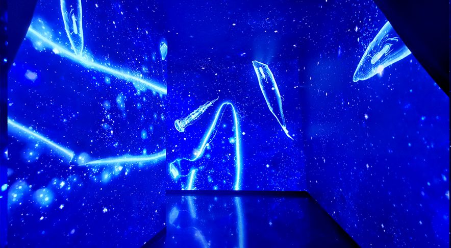 浙江衡阳老水厂