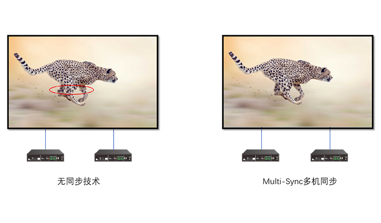 NLC电子(中国)集团