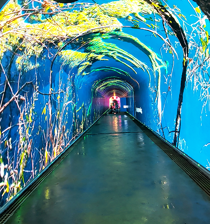 NLC电子(中国)集团