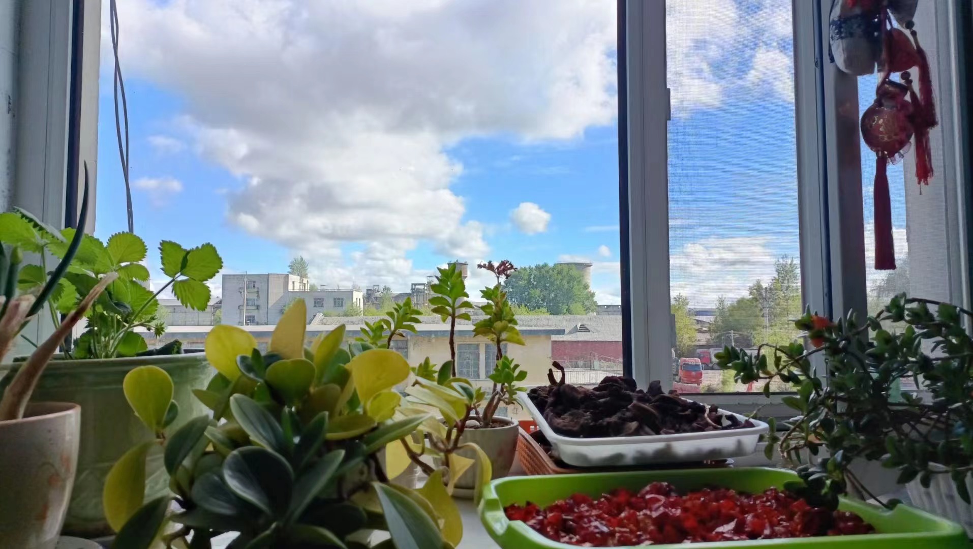 NLC电子(中国)集团