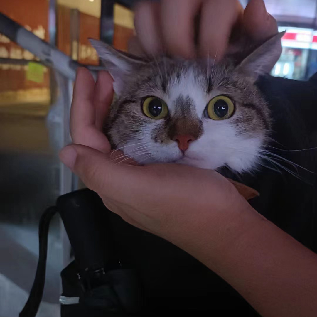 NLC电子(中国)集团