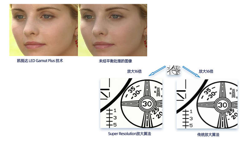 NLC电子(中国)集团