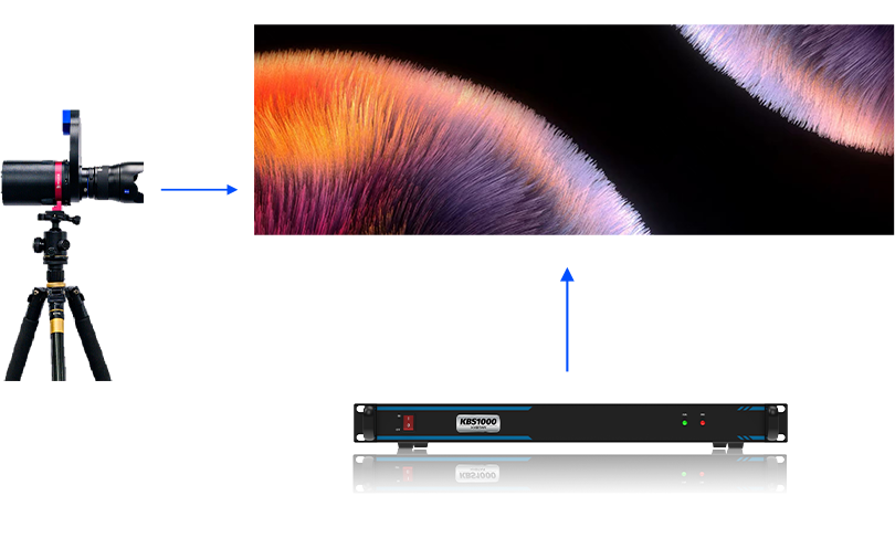 NLC电子(中国)集团