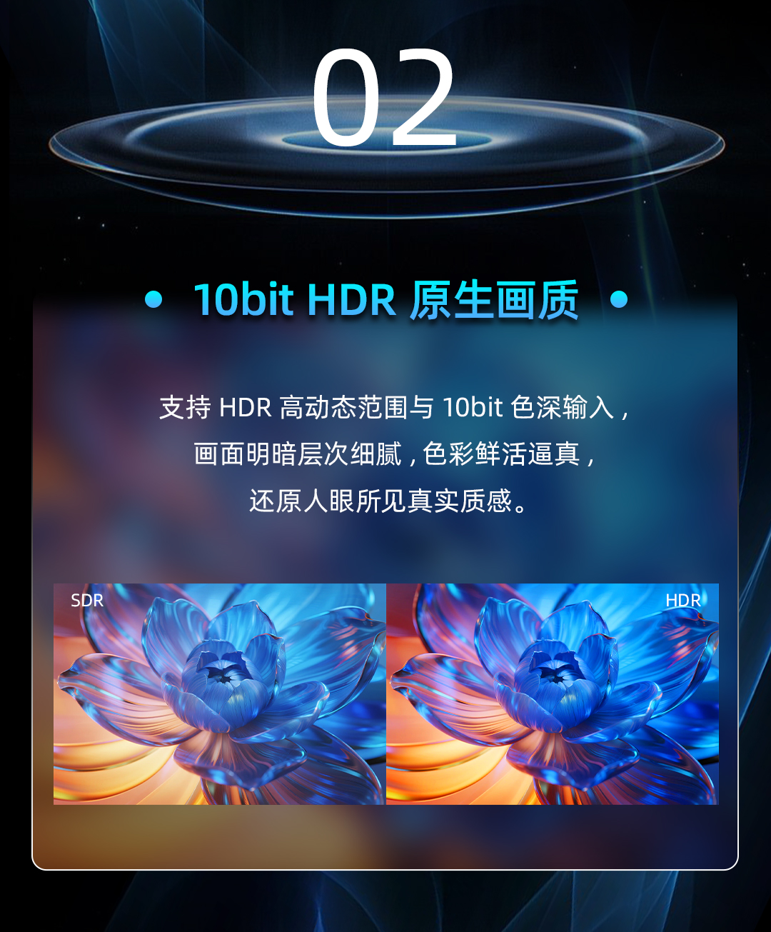 NLC电子(中国)集团