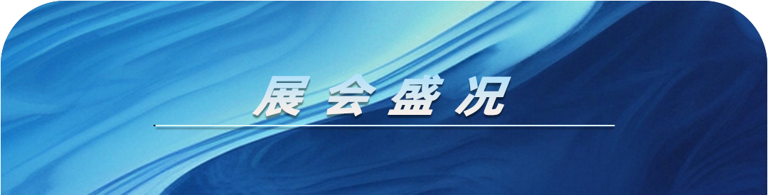 NLC电子(中国)集团