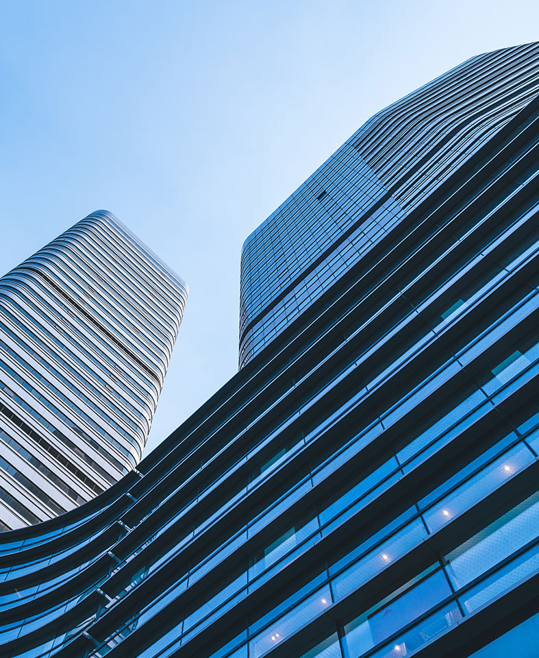 NLC电子(中国)集团